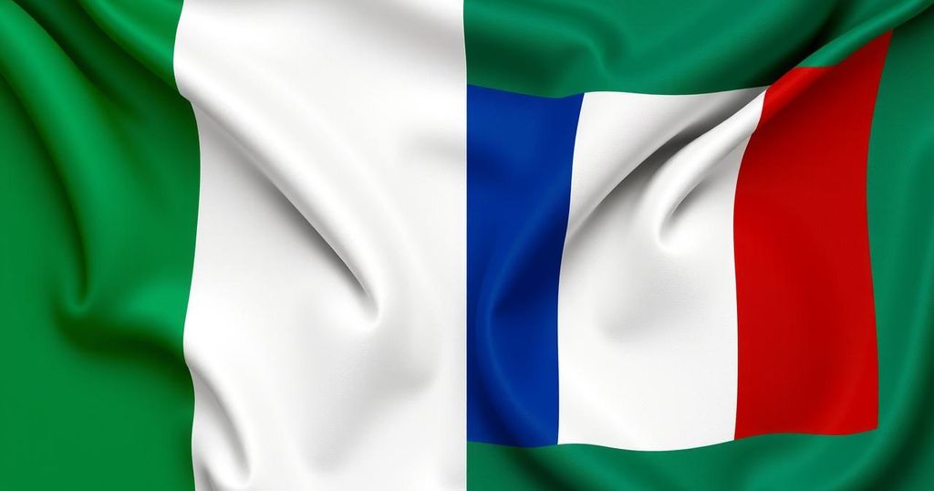 Navigating Opportunities and Risks: The France-Nigeria Mining Pact